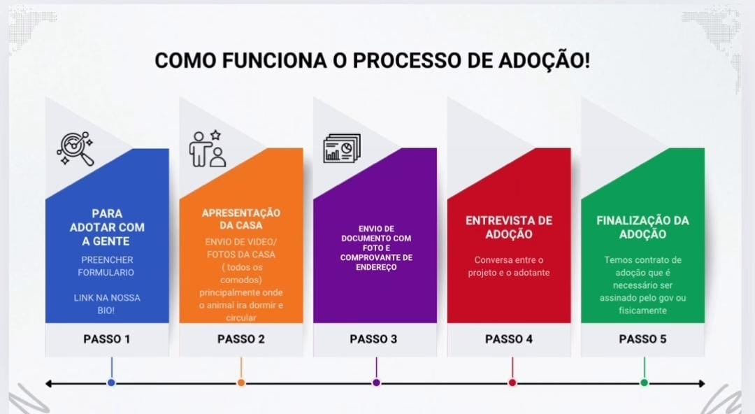 Fluxograma do processo de adoção